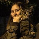Gainesville Animal Lover Searching for Work in Florida