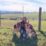 Knowledgeable Animal Lover in Blacksburg, Virginia
