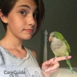 Great Babysitter, Pet Sitter and Math Tutor