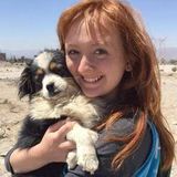 Available: Good Pet Care Provider in Danville