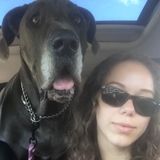 If youre looking for a Pet Supervisor/Carer in East Hampton, NY, send me an email!