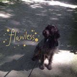 Looking For Monroe Pet Sitter Opportunity