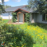 Flagstaff Home Sitter from September 13 to September 22, 2014