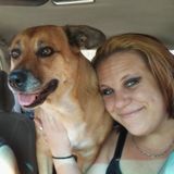 Friendly and in Need of work