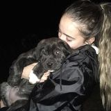 Part time responsible pet sitter in Bradford, Newmarket areas.