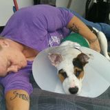 Devoted Animal Lover... Ready to care for your Babies.. ( pets )