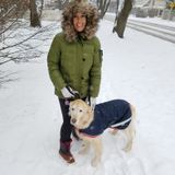 Naperville (Township) Pet Supervisor Interviewing For Job Opportunities