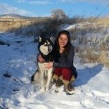 Highly experienced dog/pet owner