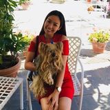 Interviewing For Woodside Dog Sitting Professional, New York Jobs
