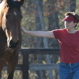 Experienced farm sitter for horses, dogs & cats.