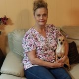 Mature experience house and pet sitter in Pasadena, Texas text me 832.404 and 4944
