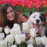 Looking to help out a local family