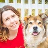 Join the Paw-some Pet Care team!