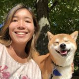 Hardworking Pet Sitting Available