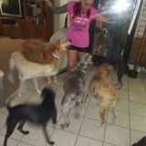 Let me love your pets like they are MY family.