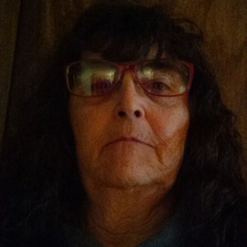 House Sitter Provider Kathy DeGonia's Profile Picture