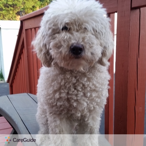 Pet Care Provider Johnny G's Profile Picture