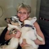 I am a life long multiple pet owner and love my 4 legged kids.