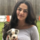 I am a flexible workers & I am willing to help with all regarding house and pets!