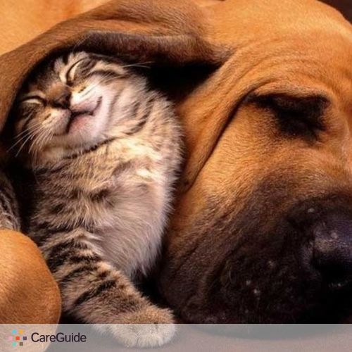 Pet Care Provider T J's Profile Picture