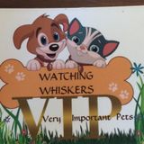 Watching Whiskers
