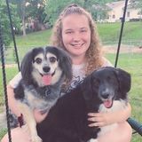 College student who misses her dogs - I will love yours!