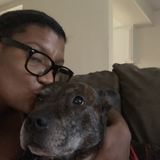 Wonderful Dog Sitter in Winter Park