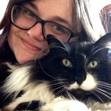 Responsible and tidy house sitter will take great care for your home and pets.