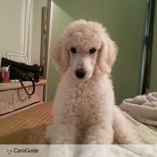 Pet Care Job Amneris O's Profile Picture