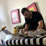 Looking for co-trainers to free-flight train my flock.