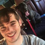 For Hire: Good Pet Trainer in Kendall