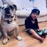 Babysitter needed a few hours a day for 2 year old active boy