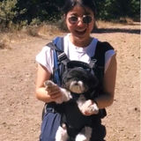 Well Trained Pet Care Provider in La Jolla, California