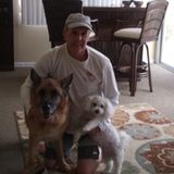 Experienced pet sitter for cats and dogs and ry dependable with references.