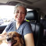 Pet mom would love to take care of your precious angels.