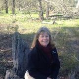 Interested In Kihei House Sitting Service Provider, Hawaii Jobs