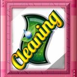 L & M Cleaning services
