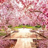 Surrey,Langley, Delta Cleaner Seeking Work