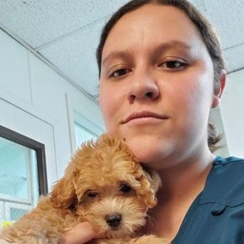 exotic pet sitters near me