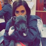 Pet Sitter