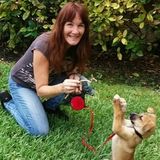 Animal Care Specialist