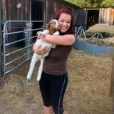 Interested In a Pet Sitter Opportunity in New Port Richey