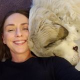 Dog walking, running & transport. Dog/pet sitting in home & drop in.