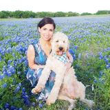 I have a golden doodle and a lot of experience with dogs. I love animals very much it would be a treat to watch yours!
