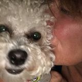 Dogs are my passion! Im hoping to be your dogs newest friend; . Im also a dog owner.