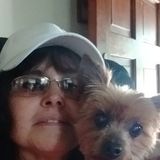 Love all animal's, not just dogs and cats. Love and affection always.
