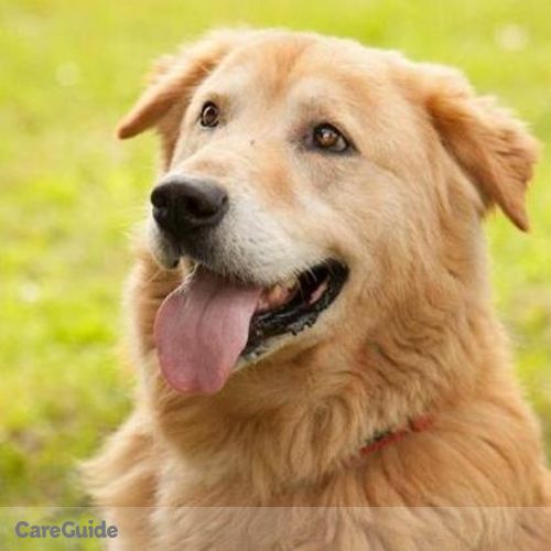 Pet Care Job Anne Darrah's Profile Picture