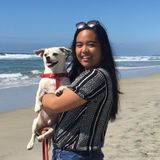 Reliable and Compassionate Pet Sitter/Dog Walker