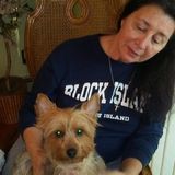 Skillful Home Carer in Smithfield, Rhode Island