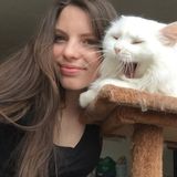 Looking For Scarborough Dog Sitter, Ontario Jobs